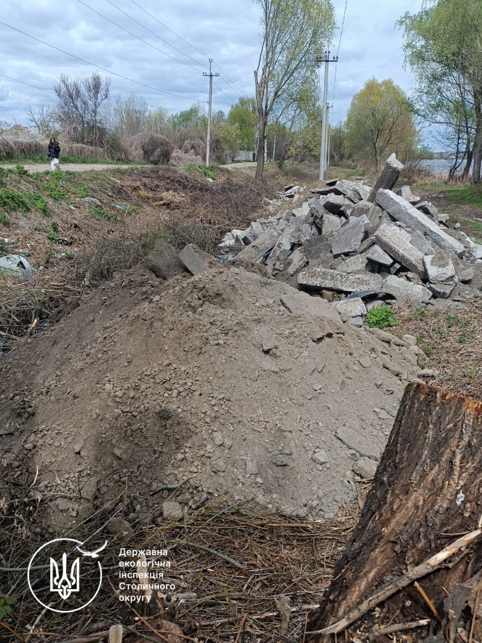 На території заказника в Києві пошкодили 122 дерева: збитки перевищили 2,6 млн грн - фото 2