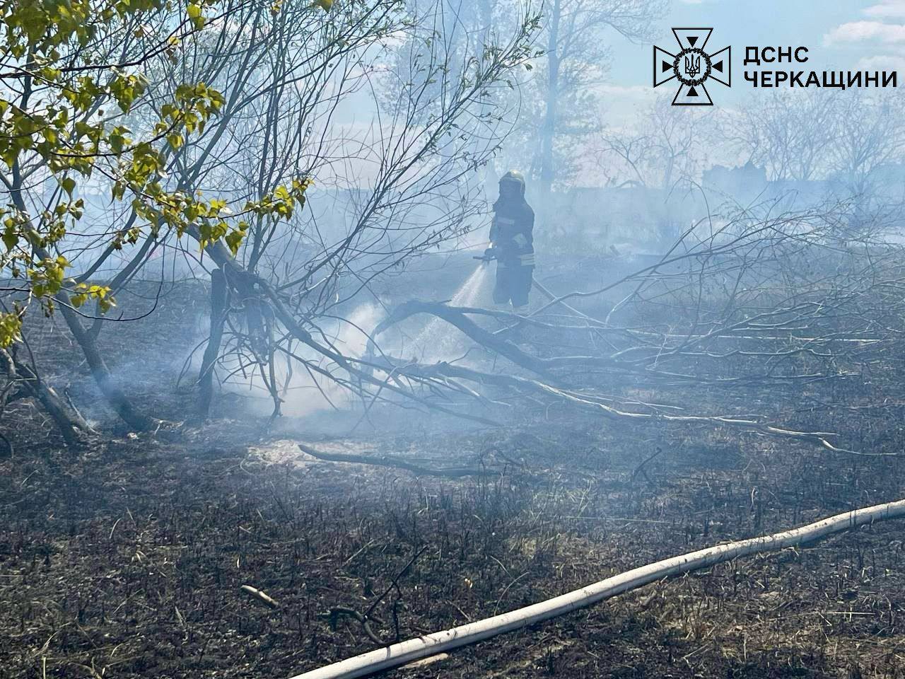 На Дніпрі біля Черкас загасили пожежу на острові