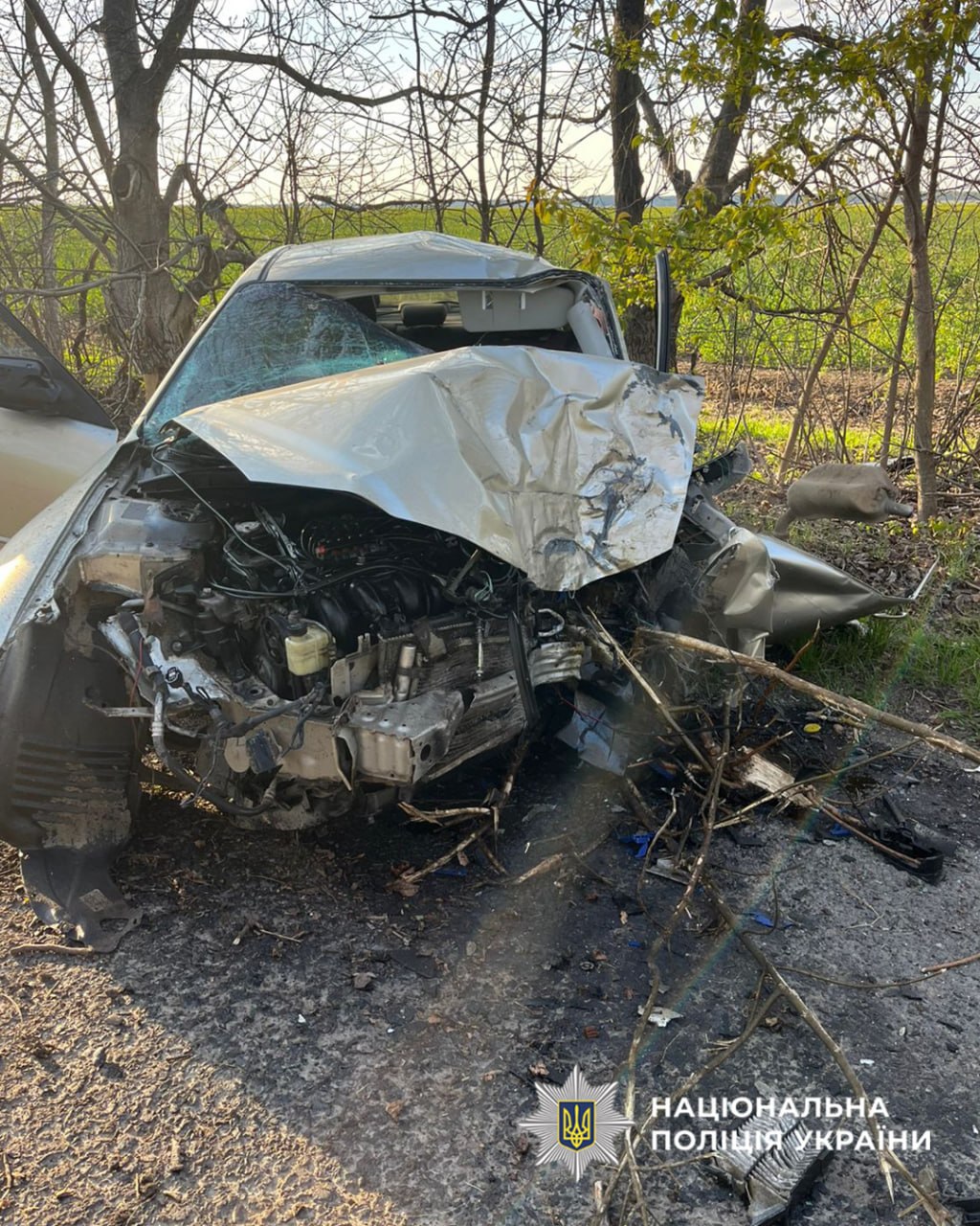 На Уманщині Mazda влетіла в дерево, загинув водій