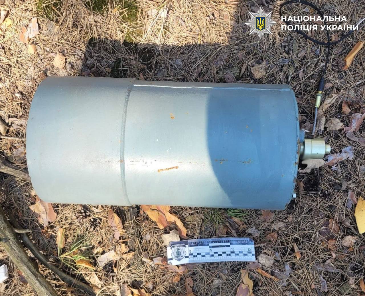 У Києві в лісосмузі виявили бойову частину «Герань-2» - фото 2