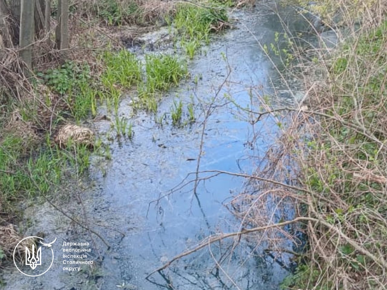 Екологи з’ясовують причини забруднення ґрунту на Київщині - фото 2