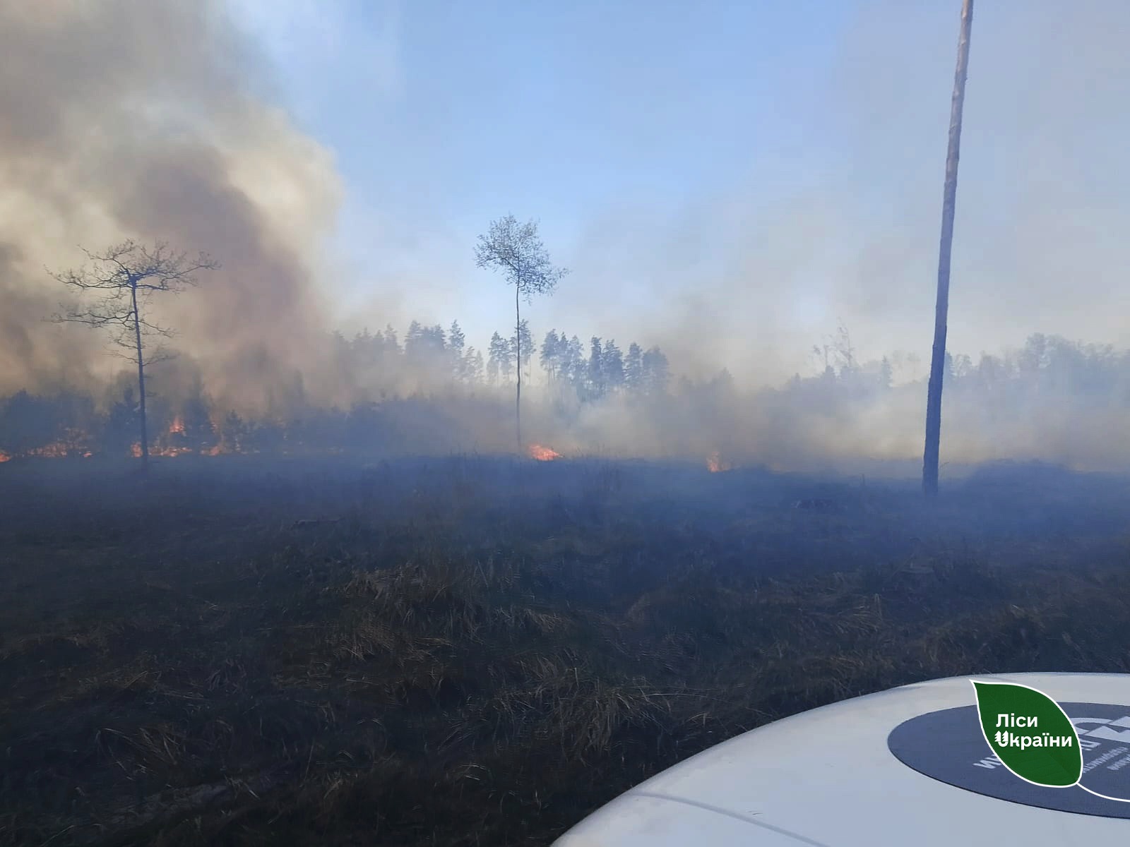 Уламки БпЛА спричинили пожежу в надлісництві на Київщині - фото 2
