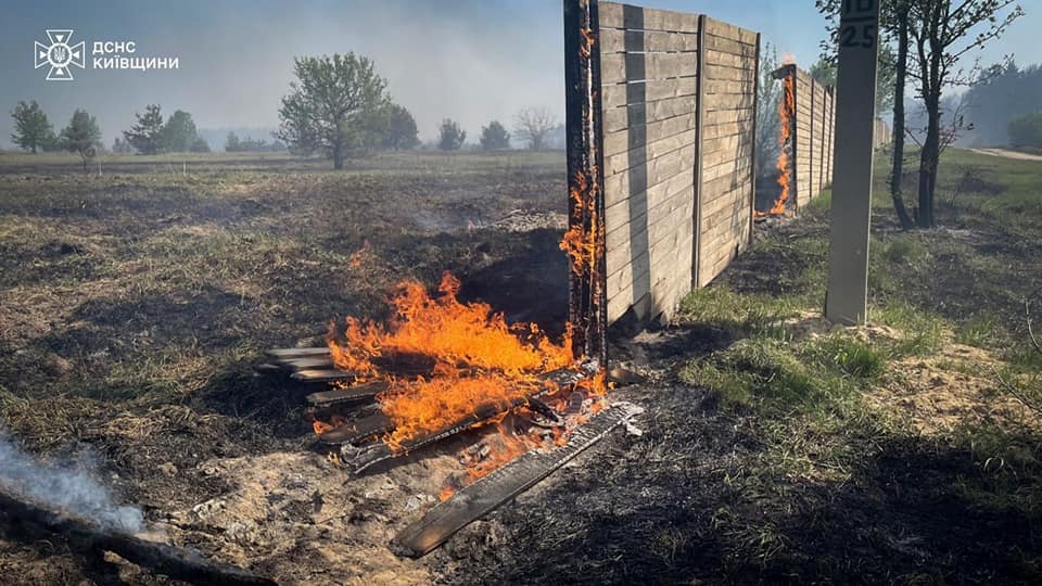 На Київщині масштабна лісова пожежа. ВІДЕО