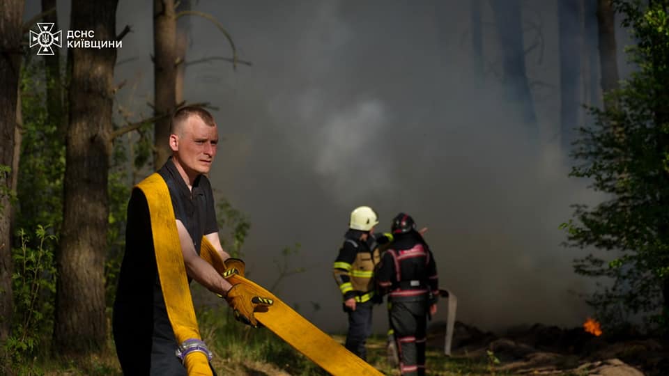 На Київщині масштабна лісова пожежа. ВІДЕО - фото 4