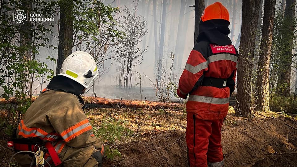 На Київщині масштабна лісова пожежа. ВІДЕО - фото 6
