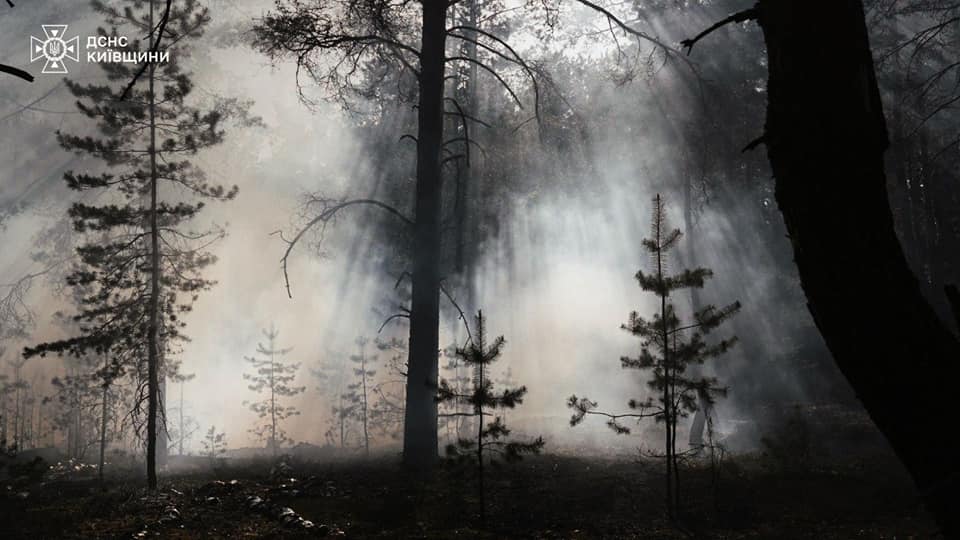 У Зоні відчуження триває ліквідація масштабної лісової пожежі