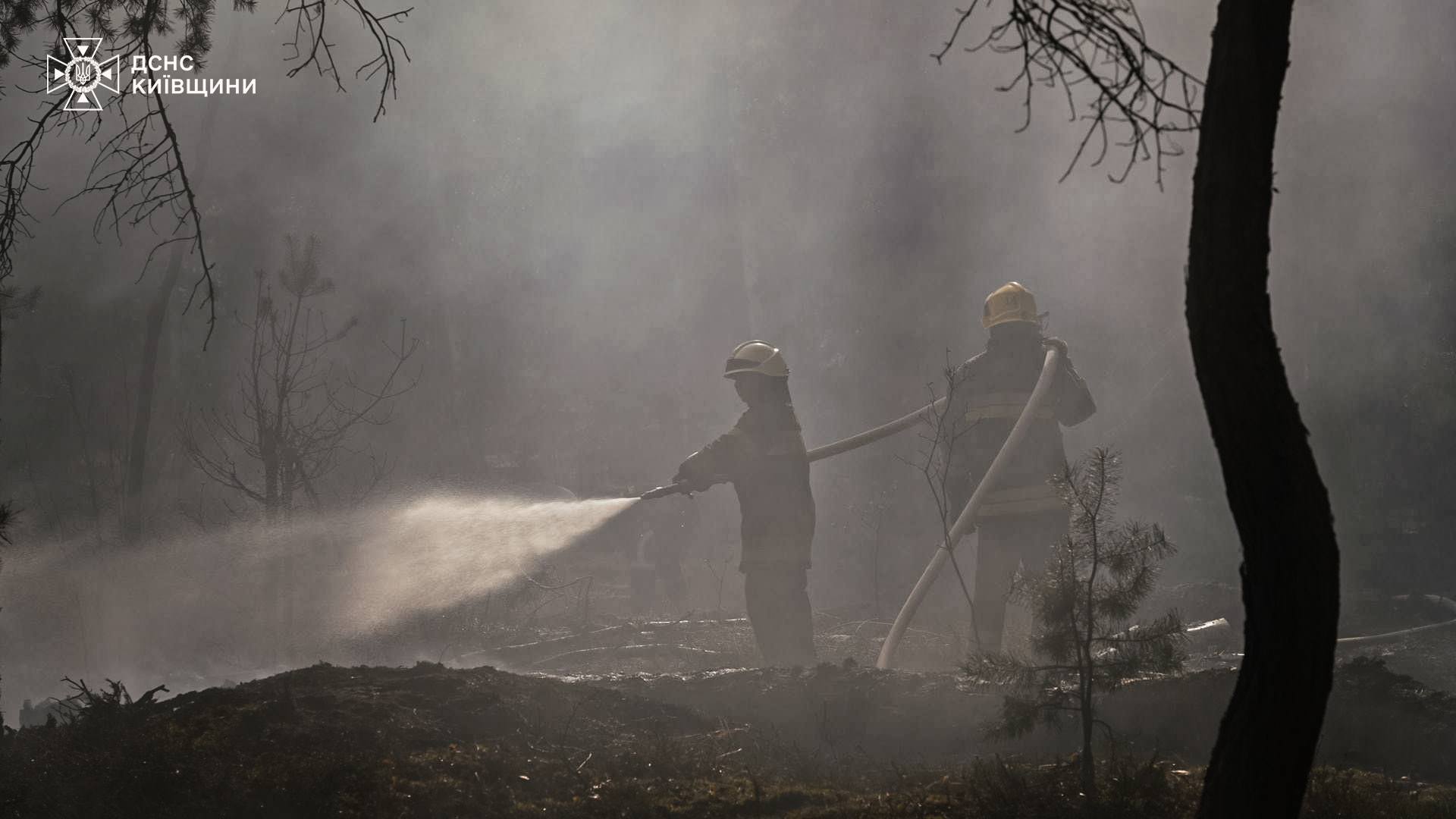 Пожежа в Зоні відчуження виникла через атаку російських дронів - фото 2
