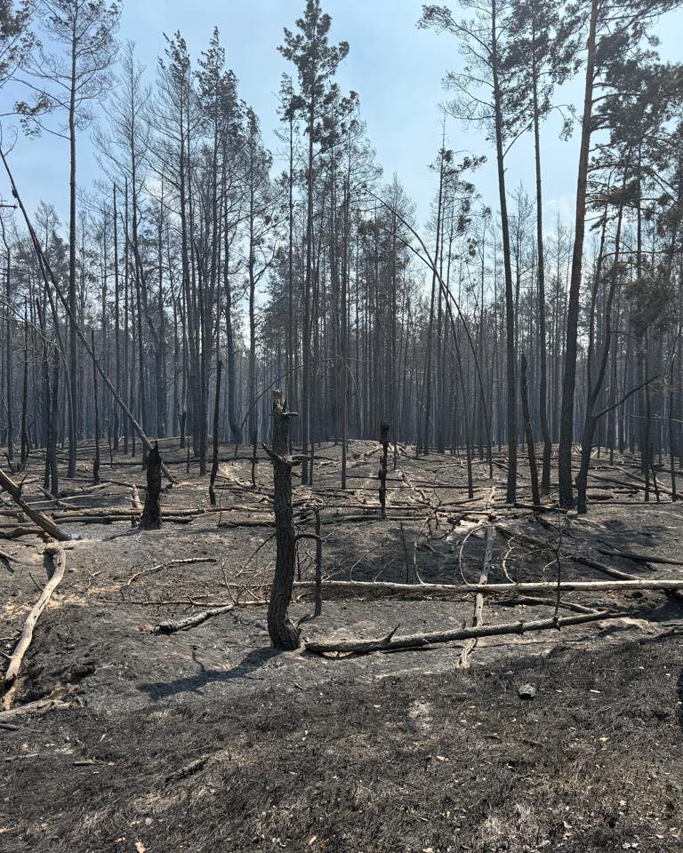 У Чорнобильському лісі безперервно продовжується гасіння пожежі - фото 3