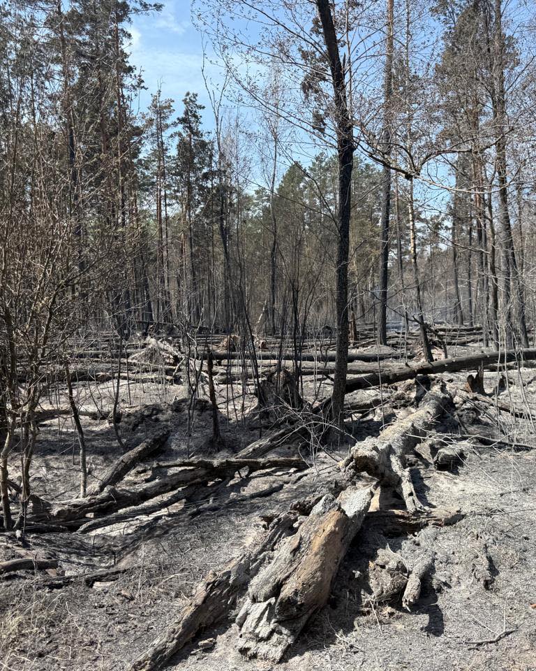У Чорнобильському лісі безперервно продовжується гасіння пожежі - фото 2