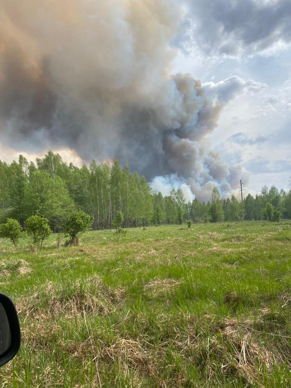 Пожежу у Зоні відчуження локалізовано на площі 1200 га - фото 3