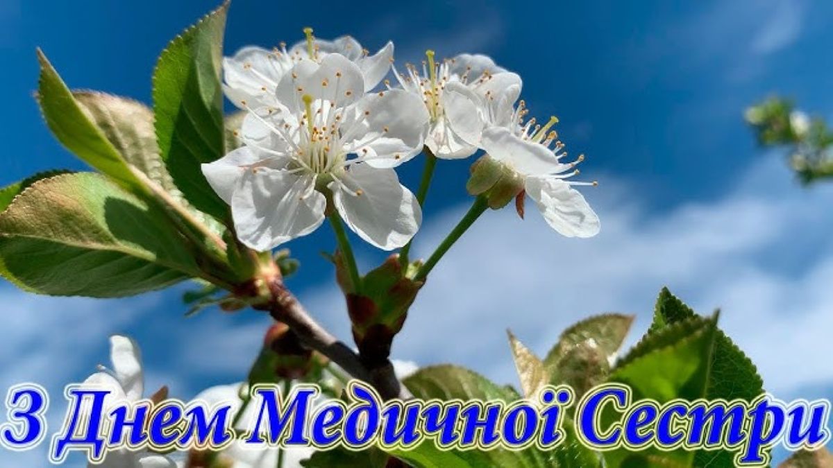 Міжнародний день медичної сестри: історія свята та найкращі привітання - фото 5