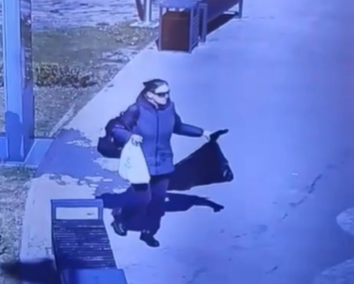 У Броварах жінка викинула квіти та лампадки з Меморіалу пам’яті загиблих Захисників