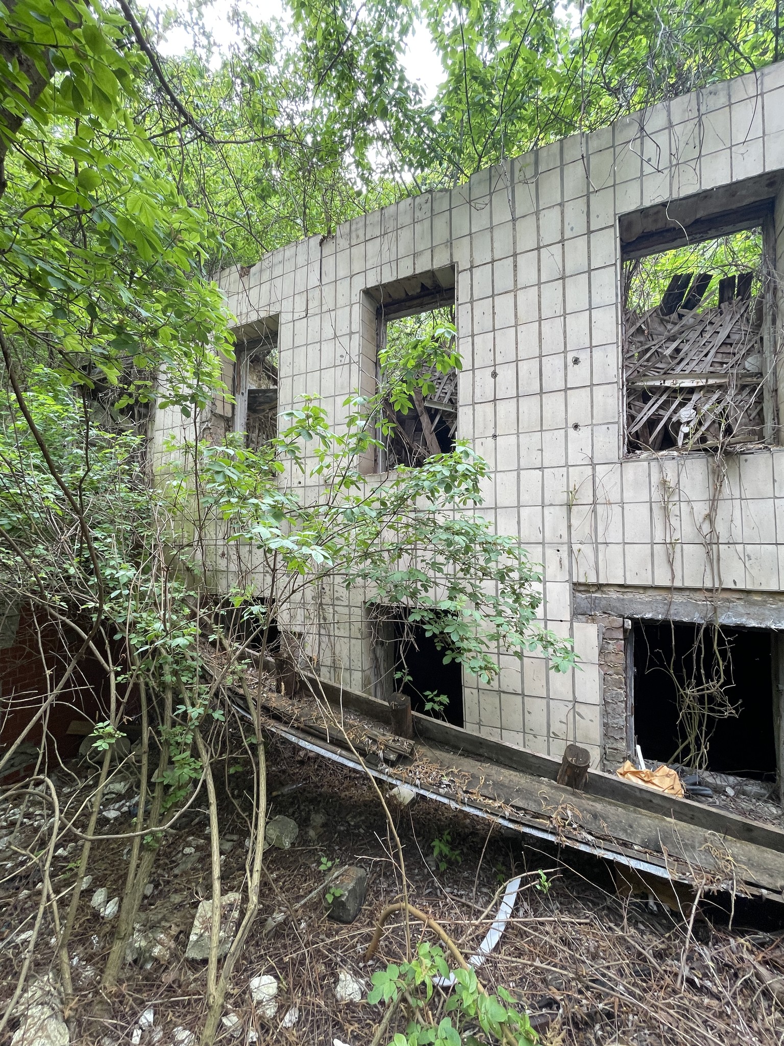У Києві на руїнах Музею Григорія Світлицького проведуть толоку - фото 7