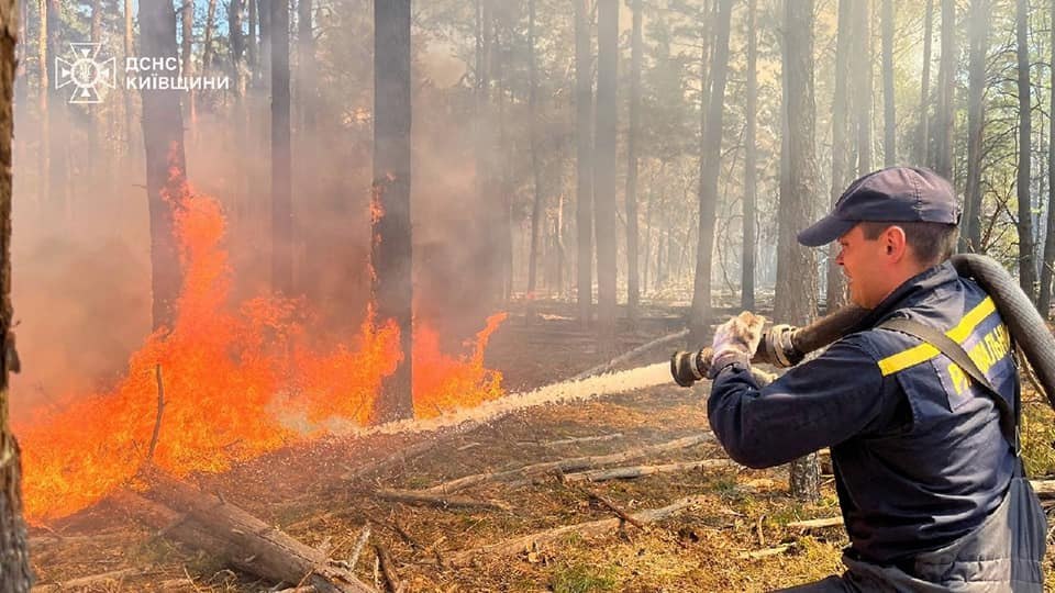На території Чорнобильського заповідника ліквідували пожежу - фото 6