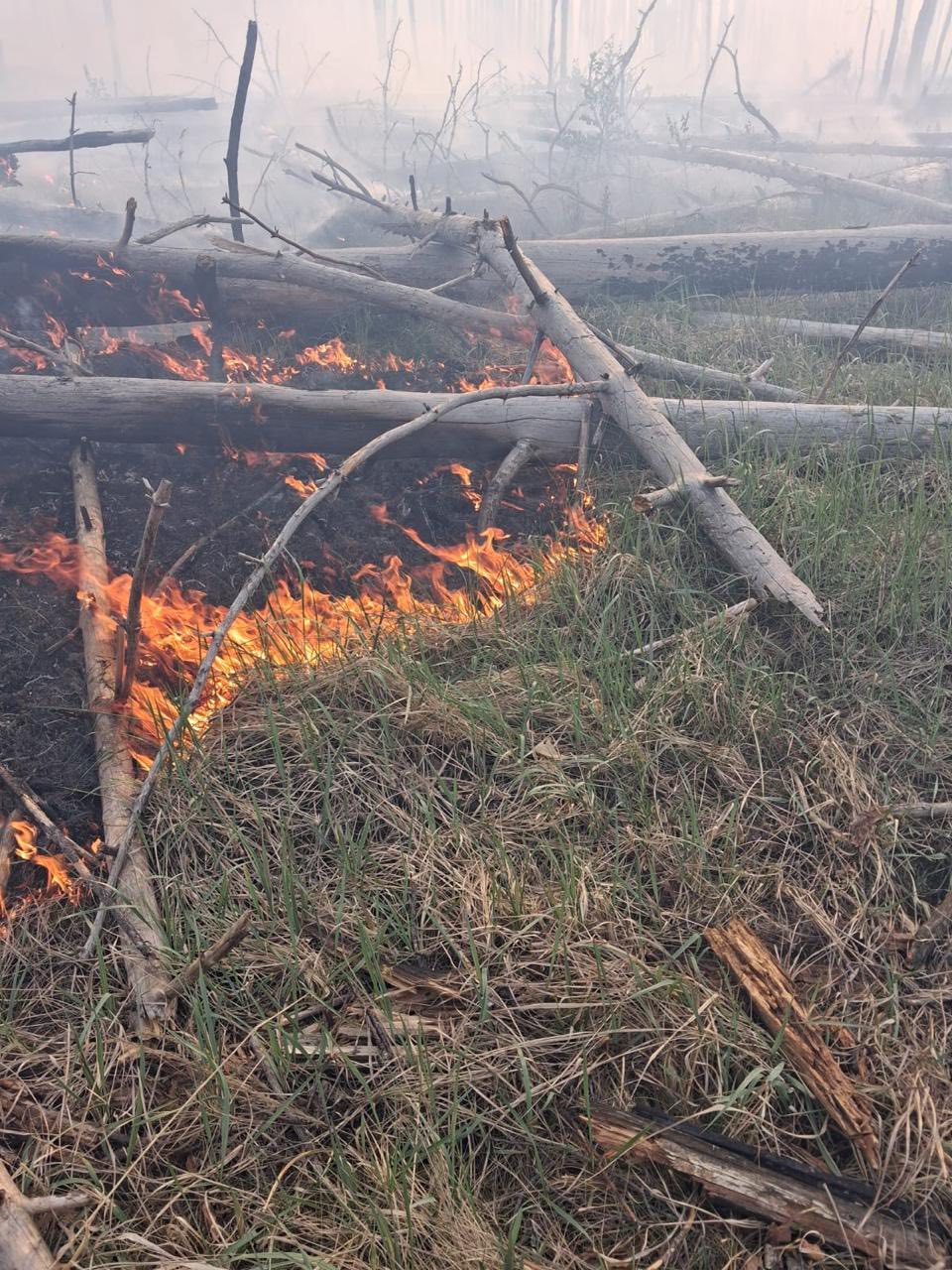 У Чорнобильському заповіднику продовжують ліквідовувати пожежу