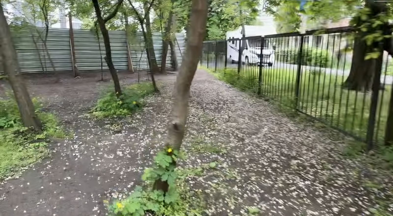 У Черкасах вивезли сміття із палісадника на вулиці Вишневецького - фото 5