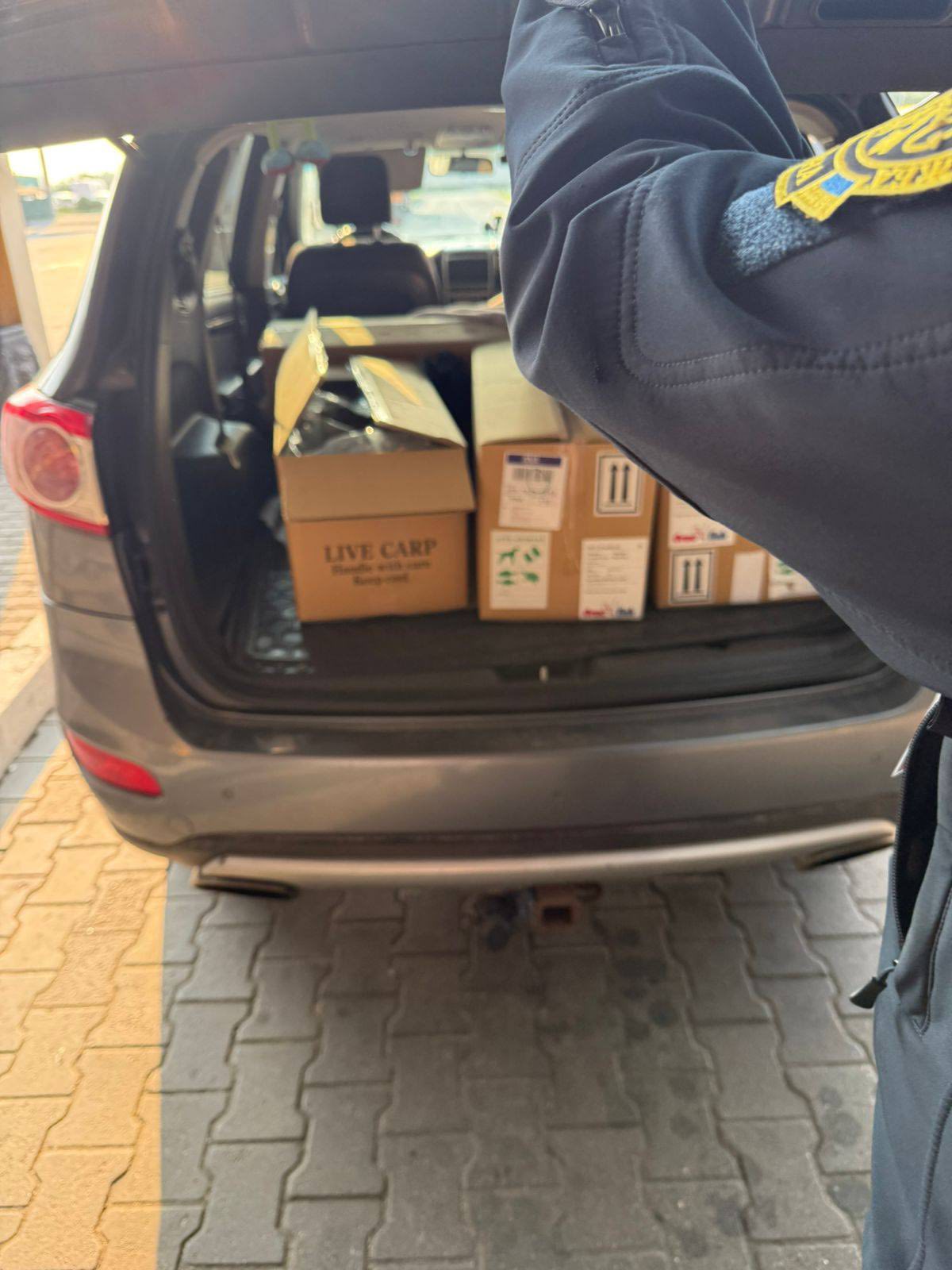Митники викрили киянку, яка перевозила живих коропів кої у багажнику авто