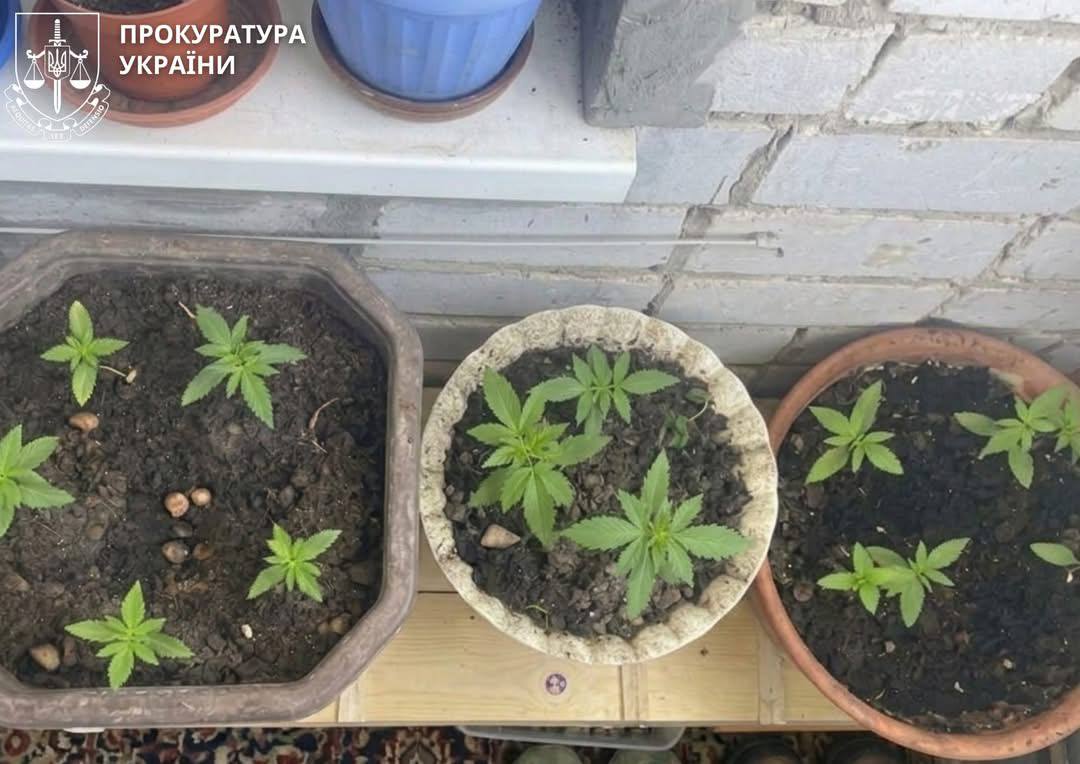 У Каневі поліцейські затримали торговця зброєю та наркотиками - фото 4