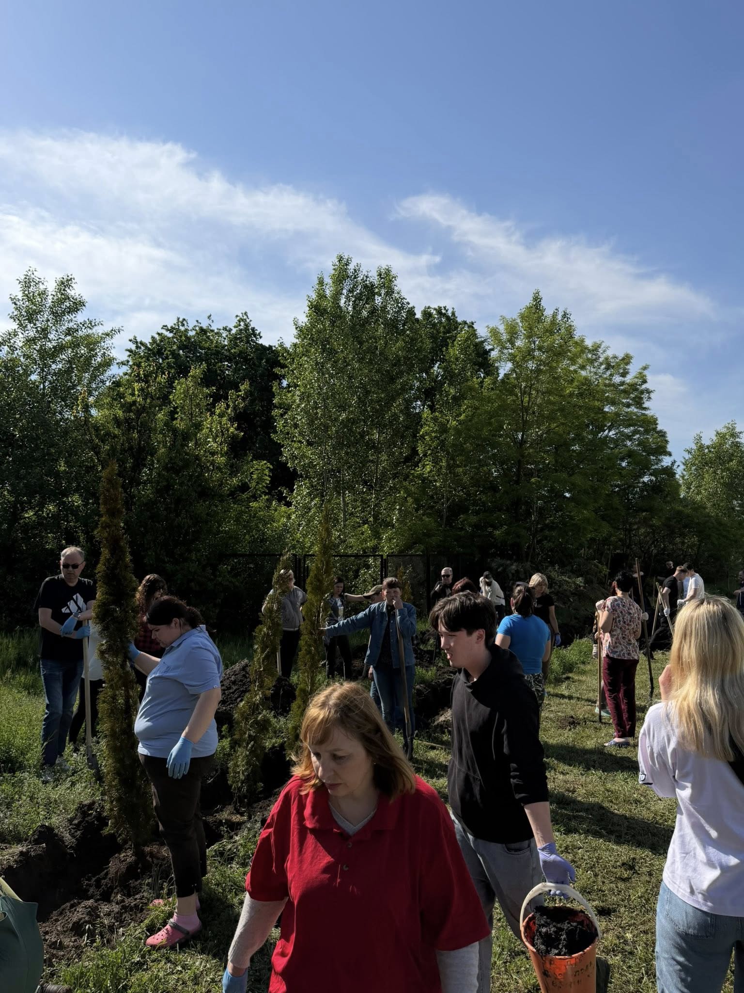«Сад майбутнього»: на території столичної лікарні висадили ще 50 туй - фото 6