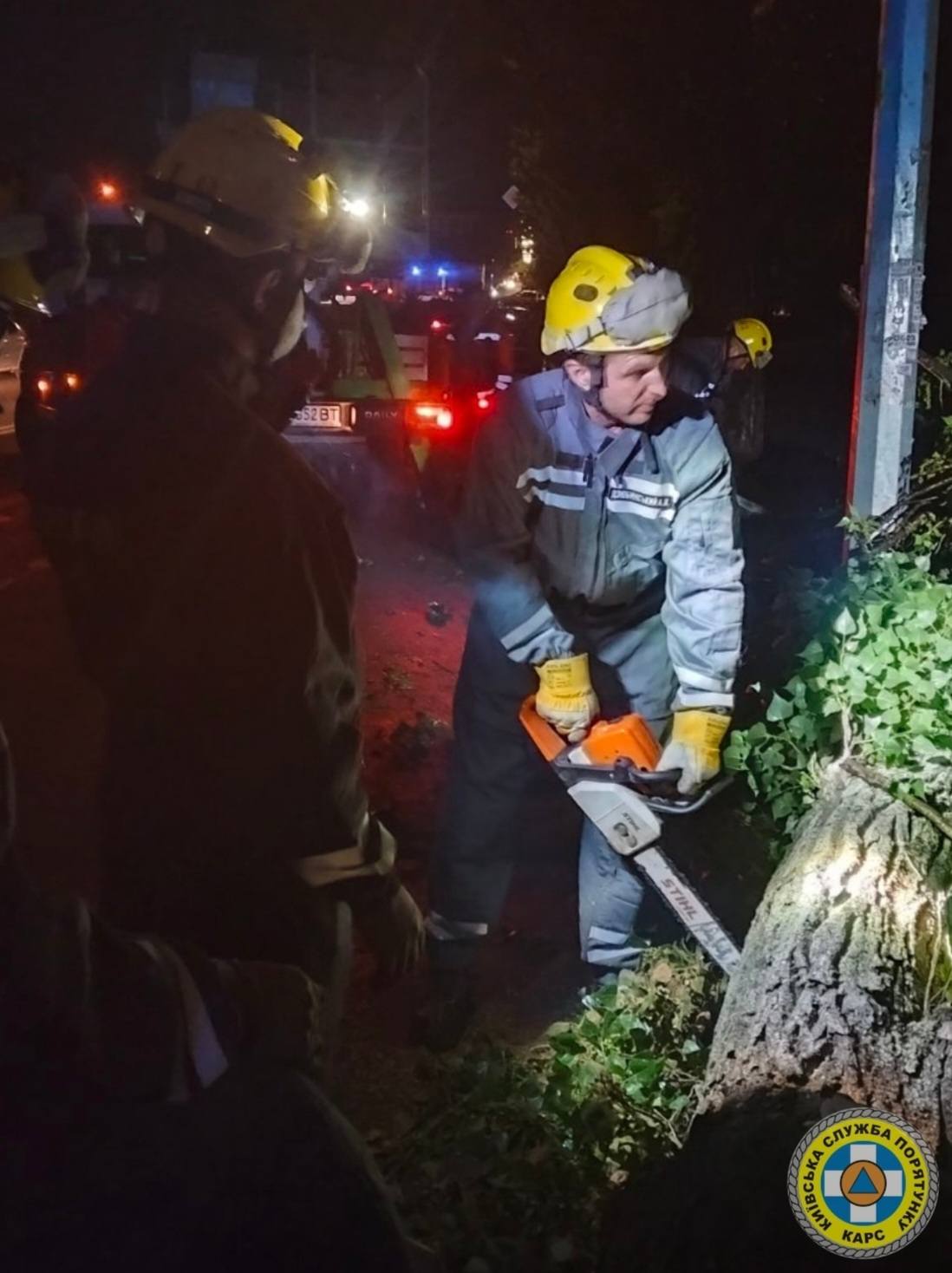 Негода у Києві повалила дерева на машини та лінії електропередач - фото 7