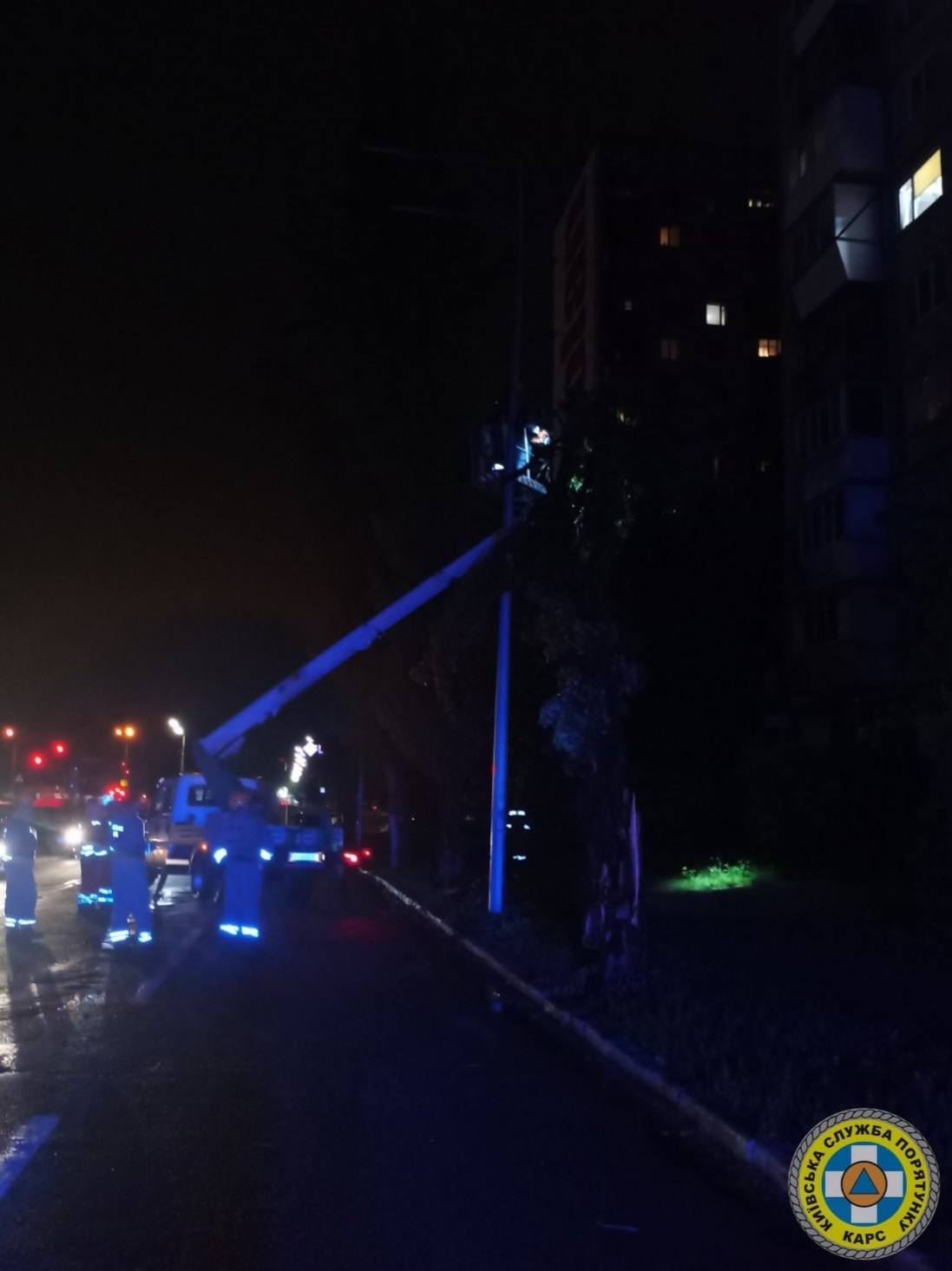Негода у Києві повалила дерева на машини та лінії електропередач - фото 14