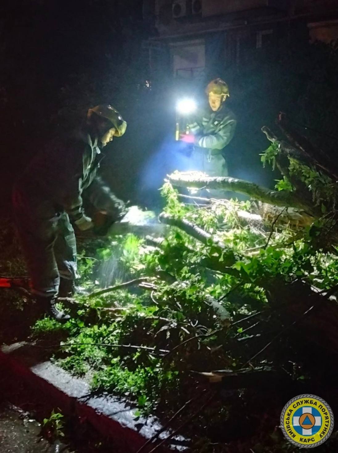Негода у Києві повалила дерева на машини та лінії електропередач - фото 3