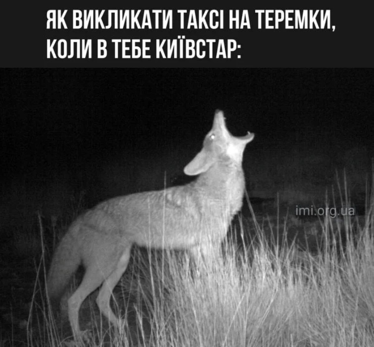 Найкращі меми про Київ: жарти, які зрозуміє кожен киянин - фото 4