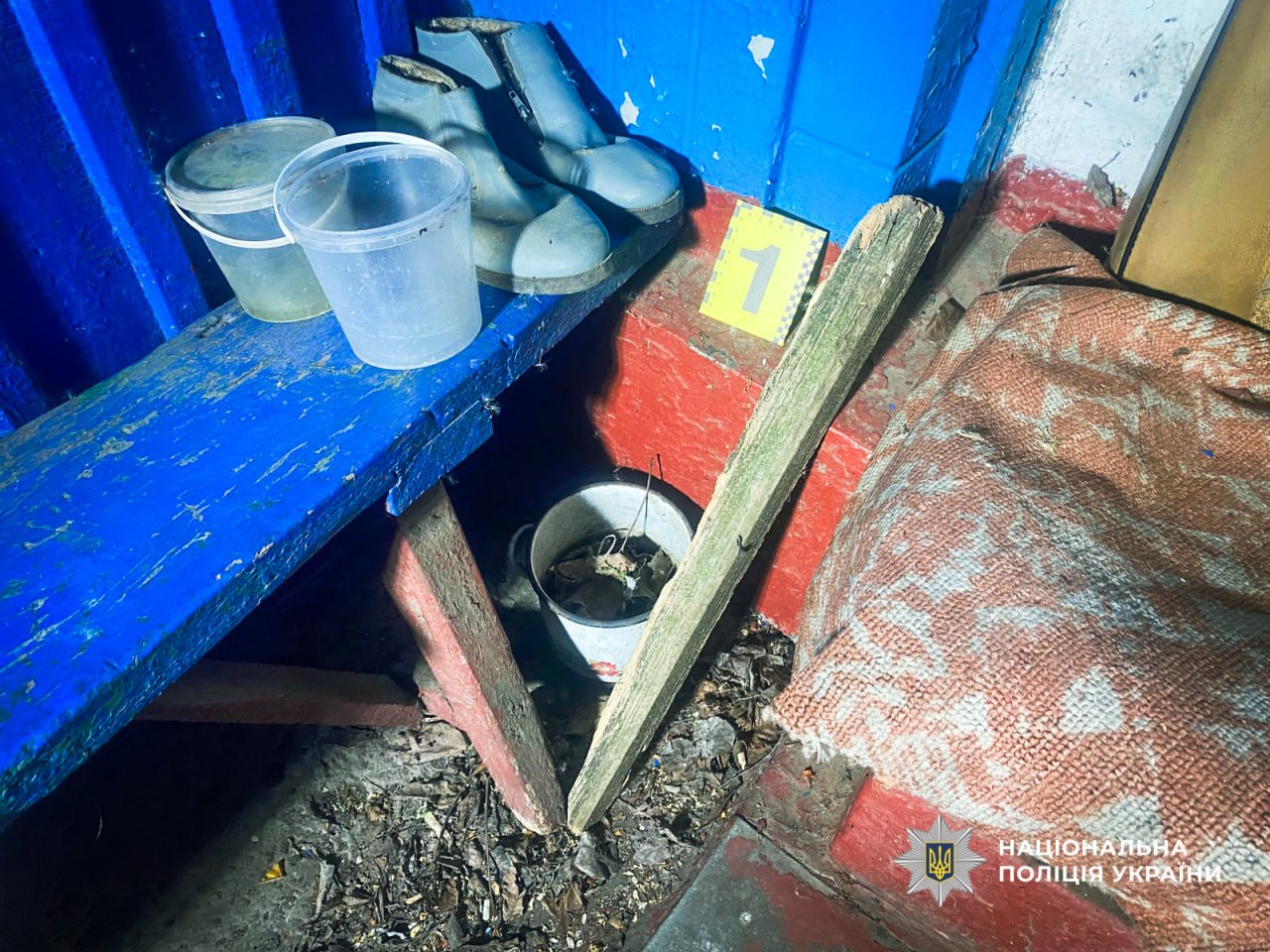 Двоє чоловіків побили 86-річну бабусю на Черкащині - фото 2