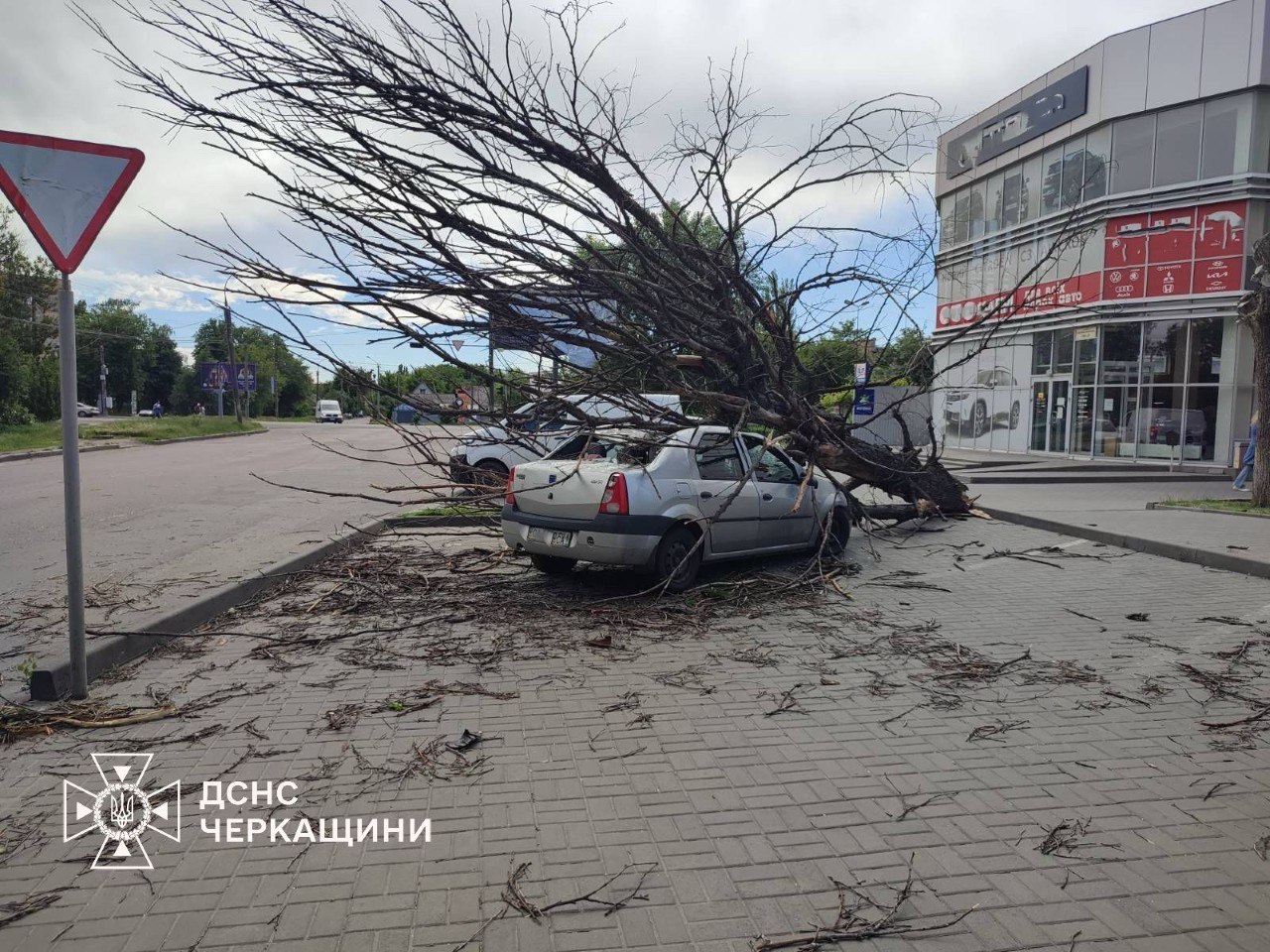 Негода на Черкащині повалила дерева та заблокувала дороги: рятувальники десятки разів виїжджали на виклики - фото 3