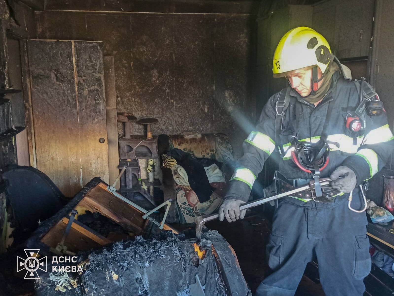 У Дніпровському районі Києва з пожежі врятували чоловіка та кота - фото 4