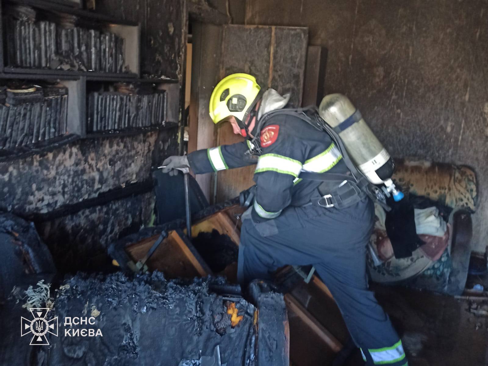 У Дніпровському районі Києва з пожежі врятували чоловіка та кота - фото 3