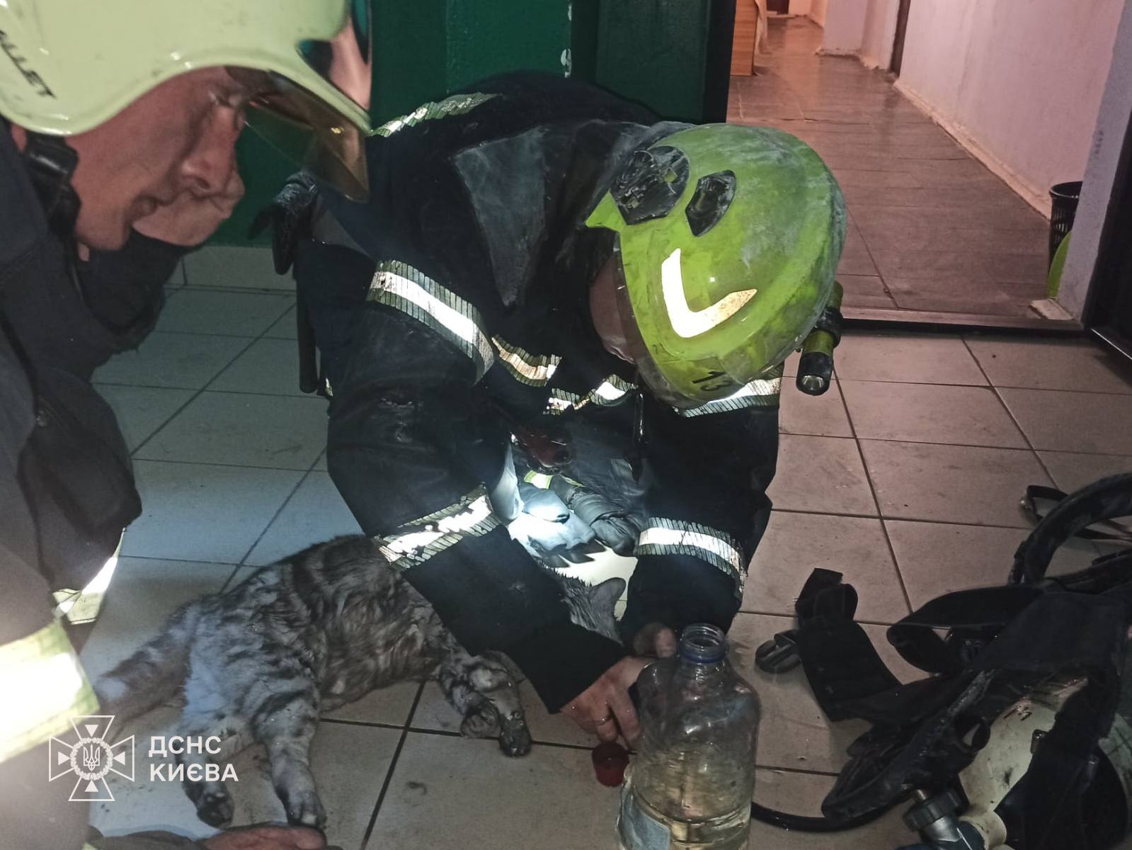 У Дніпровському районі Києва з пожежі врятували чоловіка та кота - фото 2