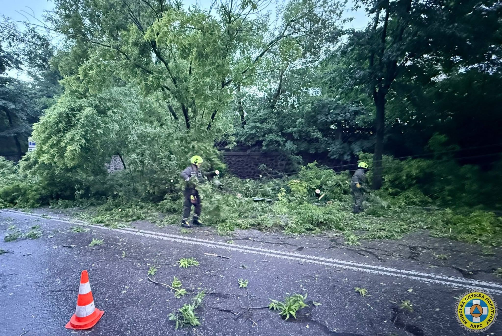 Дерева падали на дороги та лінії електропередач: у Києві рятувальники ліквідовували наслідки негоди - фото 2