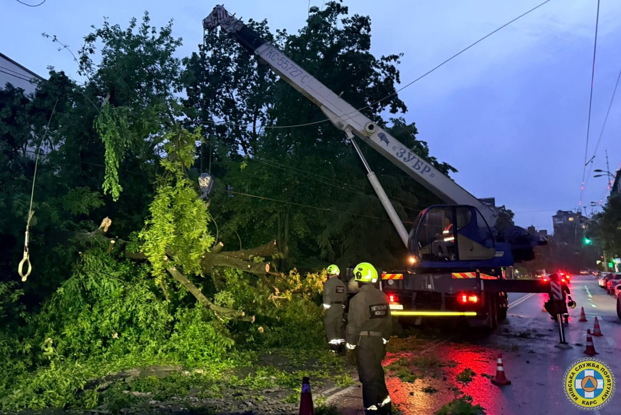 Дерева падали на дороги та лінії електропередач: у Києві рятувальники ліквідовували наслідки негоди - фото 3