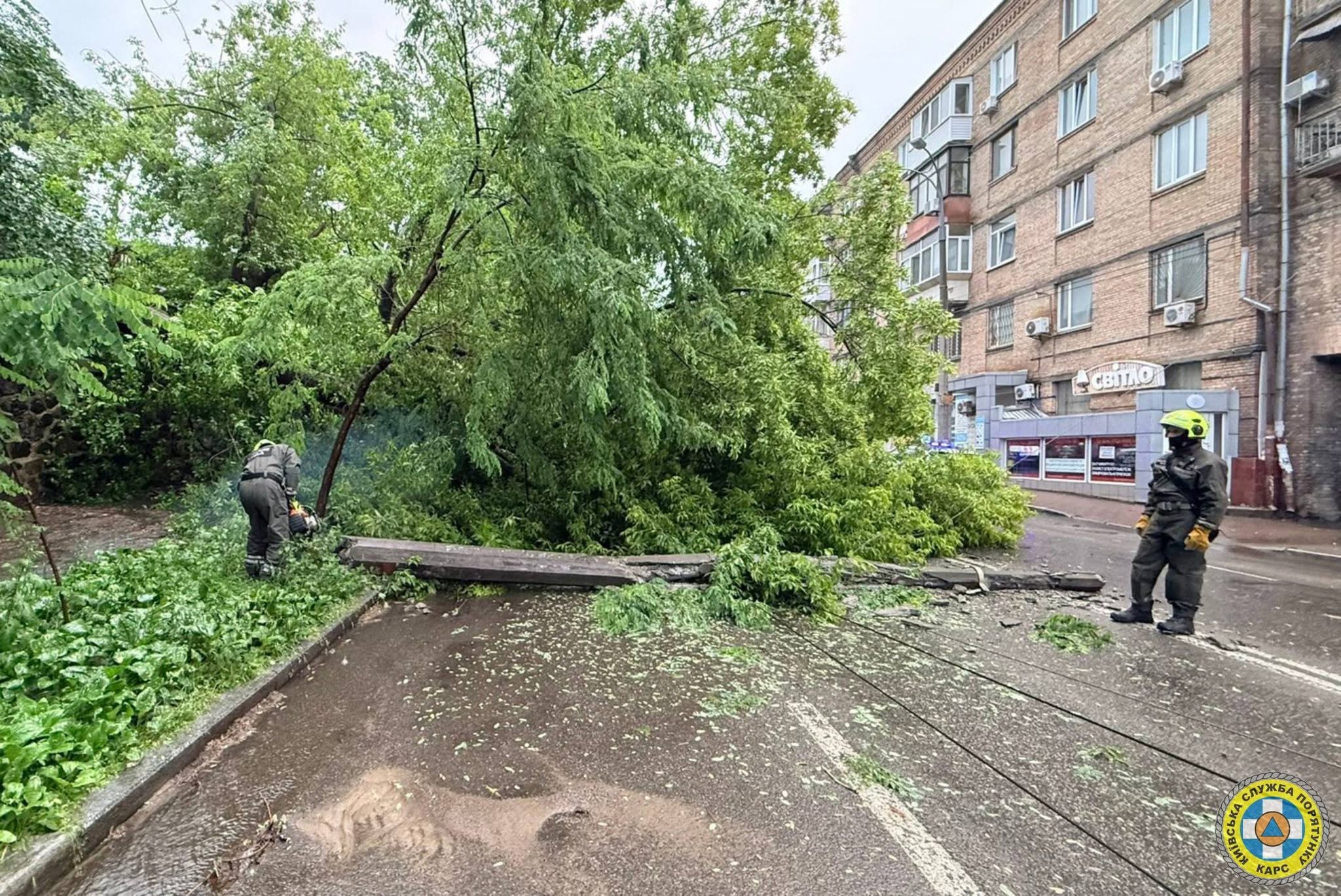 Дерева падали на дороги та лінії електропередач: у Києві рятувальники ліквідовували наслідки негоди - фото 5