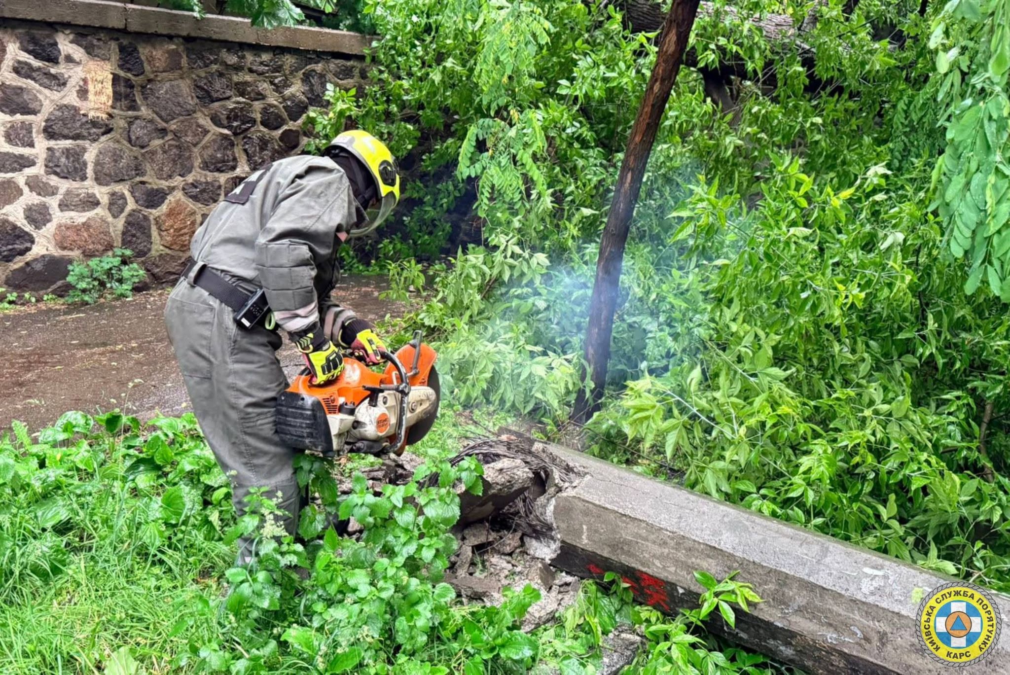 Дерева падали на дороги та лінії електропередач: у Києві рятувальники ліквідовували наслідки негоди - фото 4