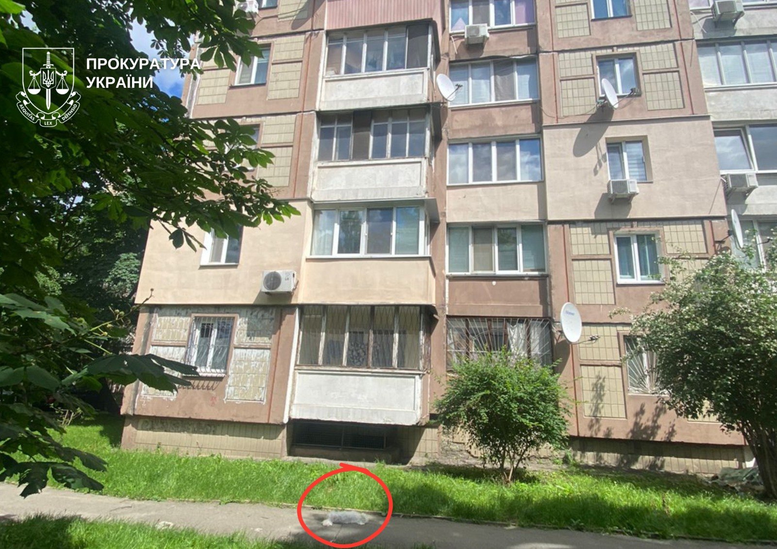 Киянину, який викинув собаку з вікна шостого поверху, повідомлено про підозру