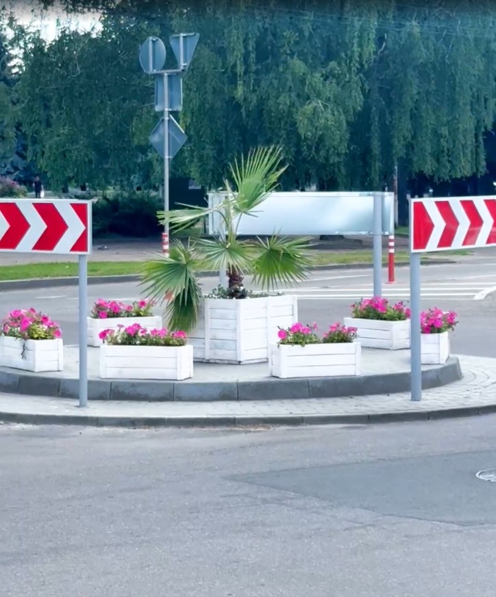 Пальму поставили у центрі Золотоноші