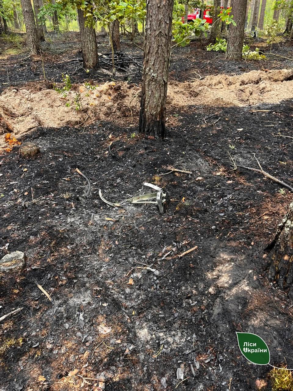 На Київщині через уламки російського дрона спалахнули дві лісові пожежі - фото 2