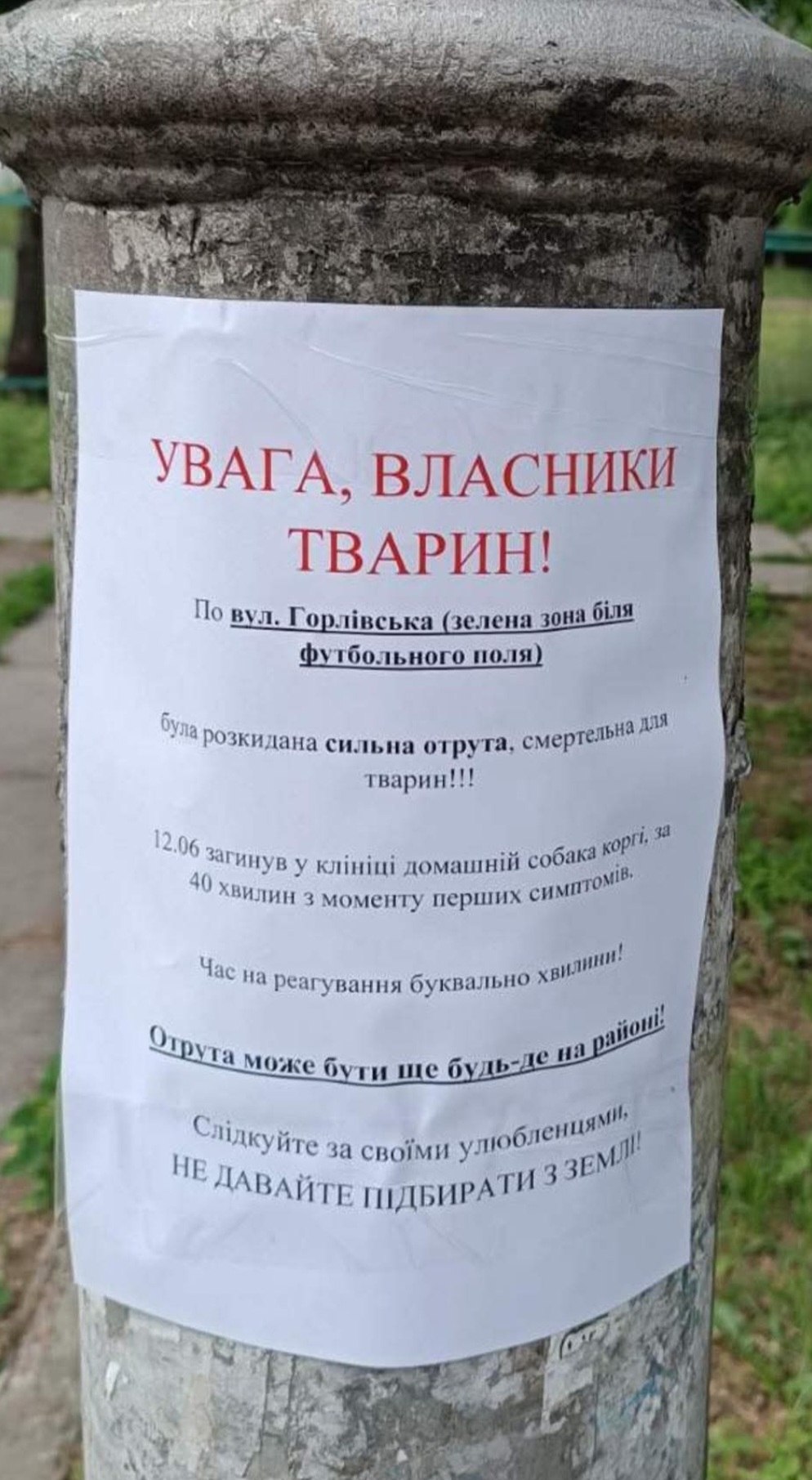 У Києві невідомі розсипали отруту для тварин