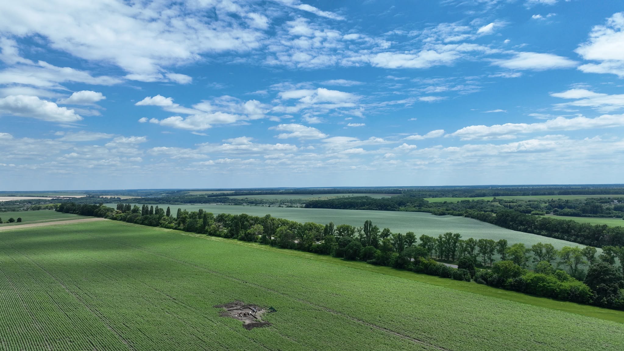 Археологічні розкопки тривають у полі на Черкащині. Фото - фото 3