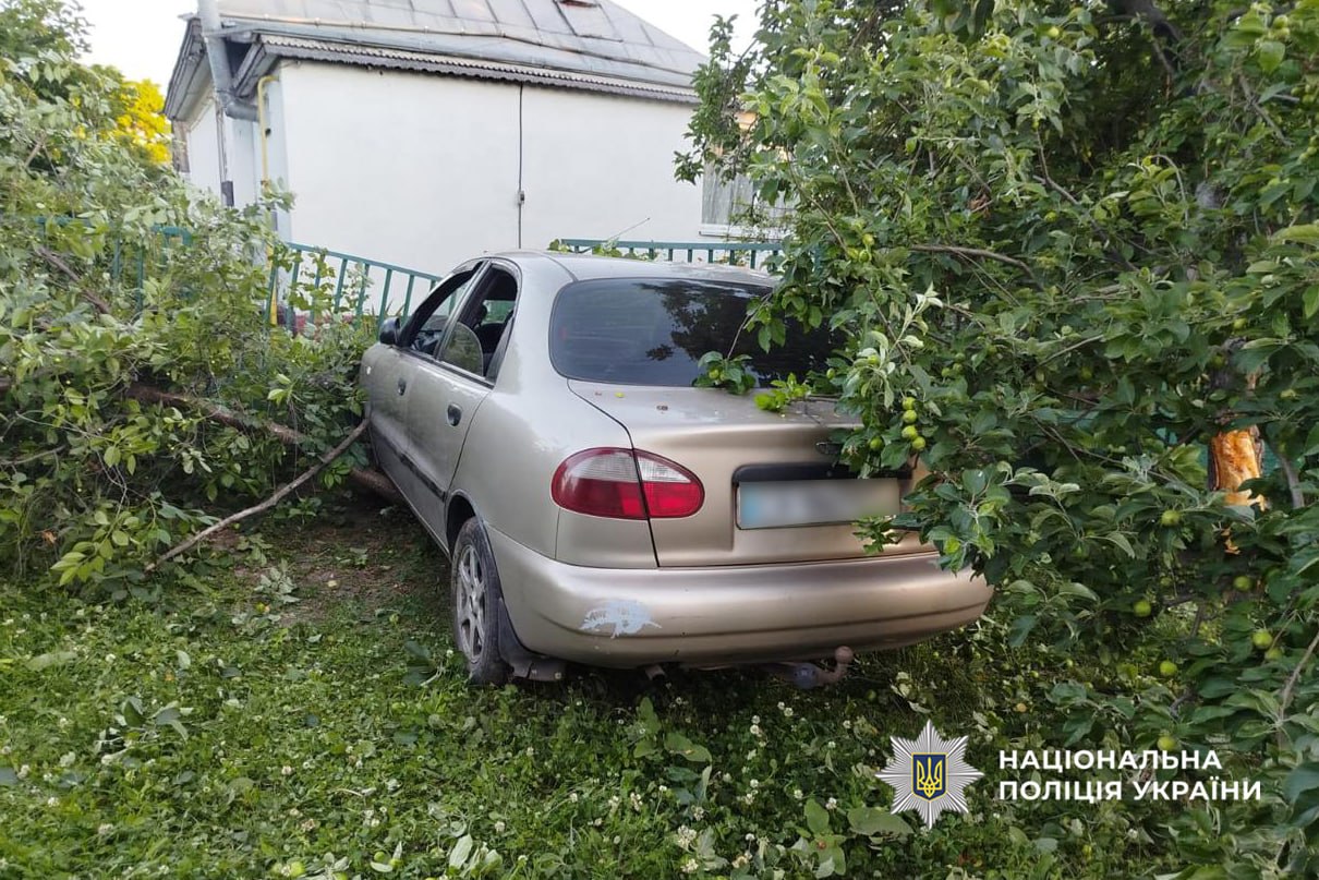П’яна водійка на Черкащині спричинила ДТП, в якій постраждали малі діти - фото 2