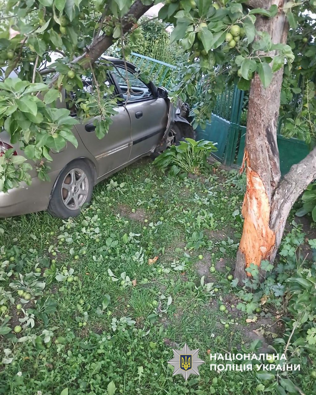 П’яна водійка на Черкащині спричинила ДТП, в якій постраждали малі діти