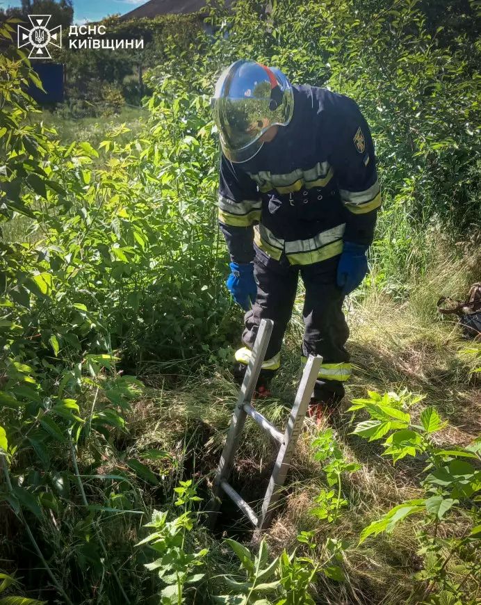 На Київщині рятувальники витягли козу з шестиметрової ями