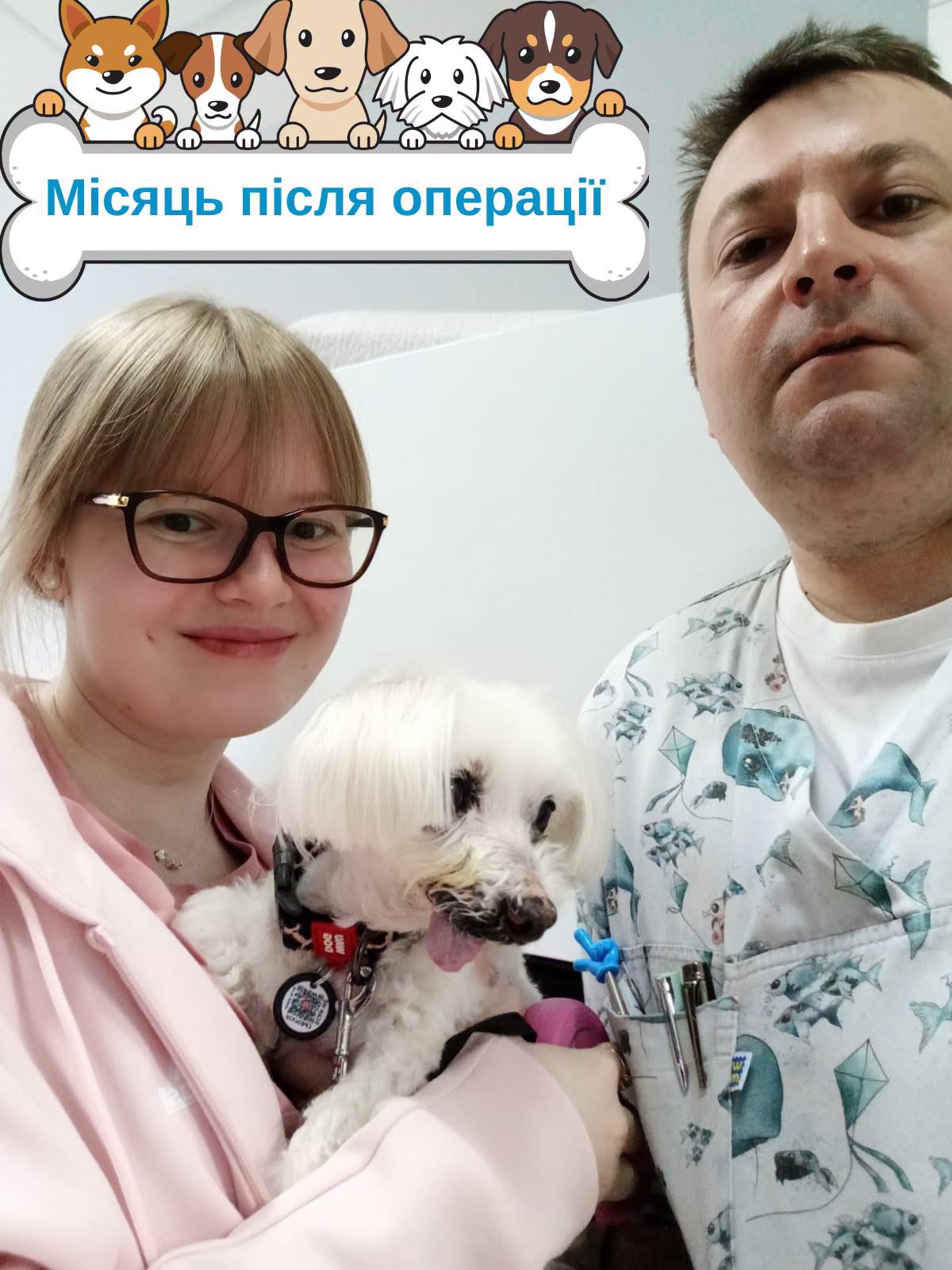 Київські кардіохірурги та ветеринари врятували 16-річну собаку з тяжкою хворобою серця - фото 5