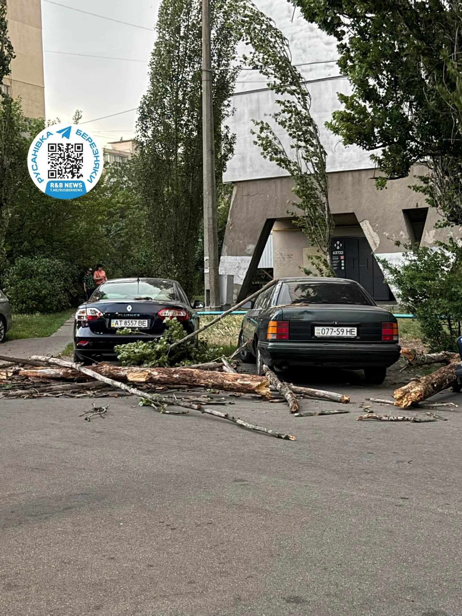 Повалені дерева, побиті авто та знеструмлення: наслідки негоди у Києві та області - фото 6
