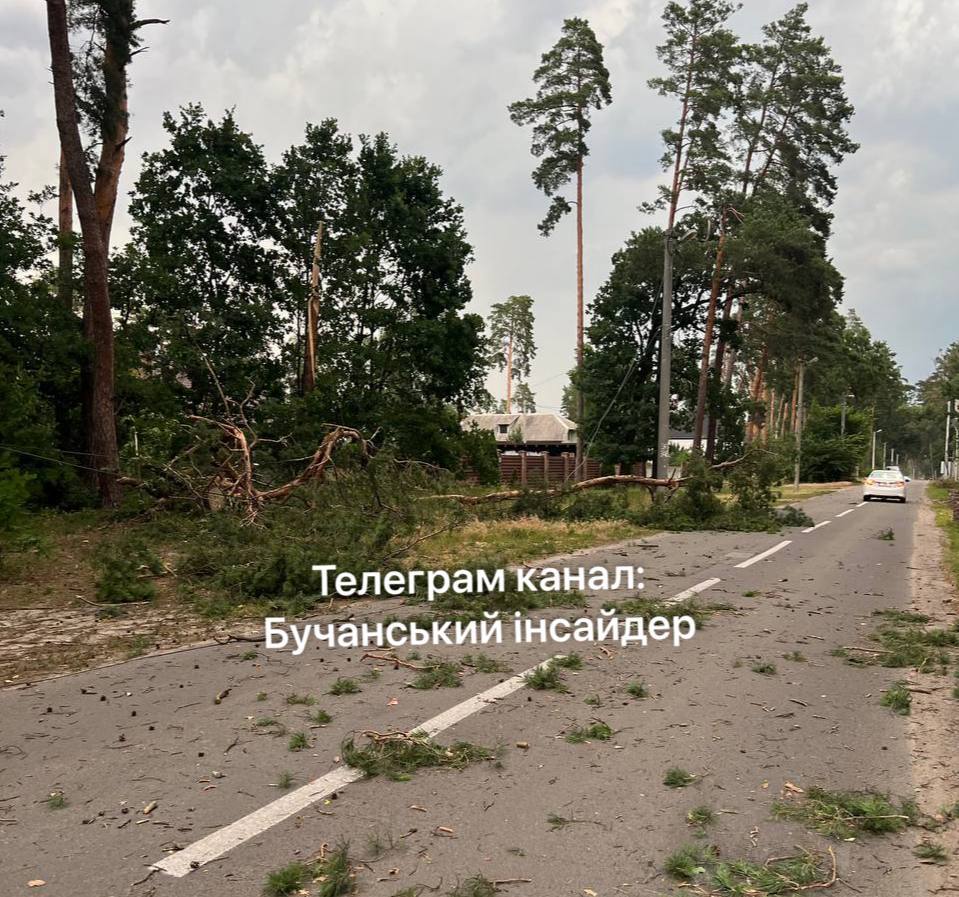 Повалені дерева, побиті авто та знеструмлення: наслідки негоди у Києві та області - фото 8
