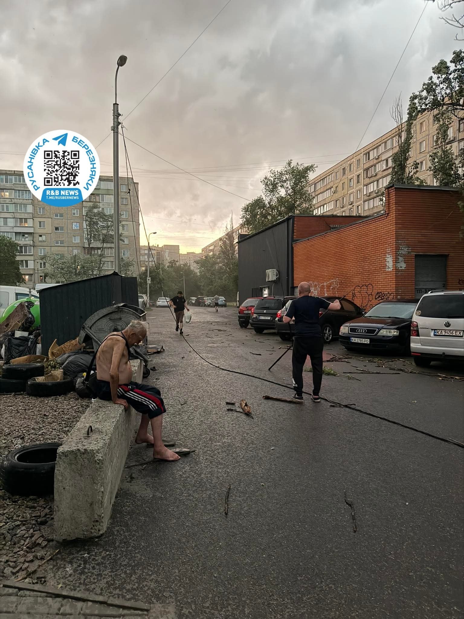 Повалені дерева, побиті авто та знеструмлення: наслідки негоди у Києві та області - фото 4
