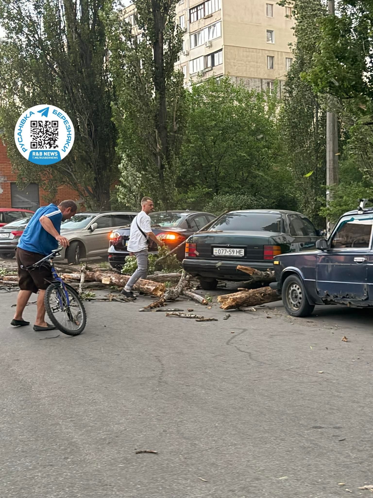 Повалені дерева, побиті авто та знеструмлення: наслідки негоди у Києві та області - фото 5