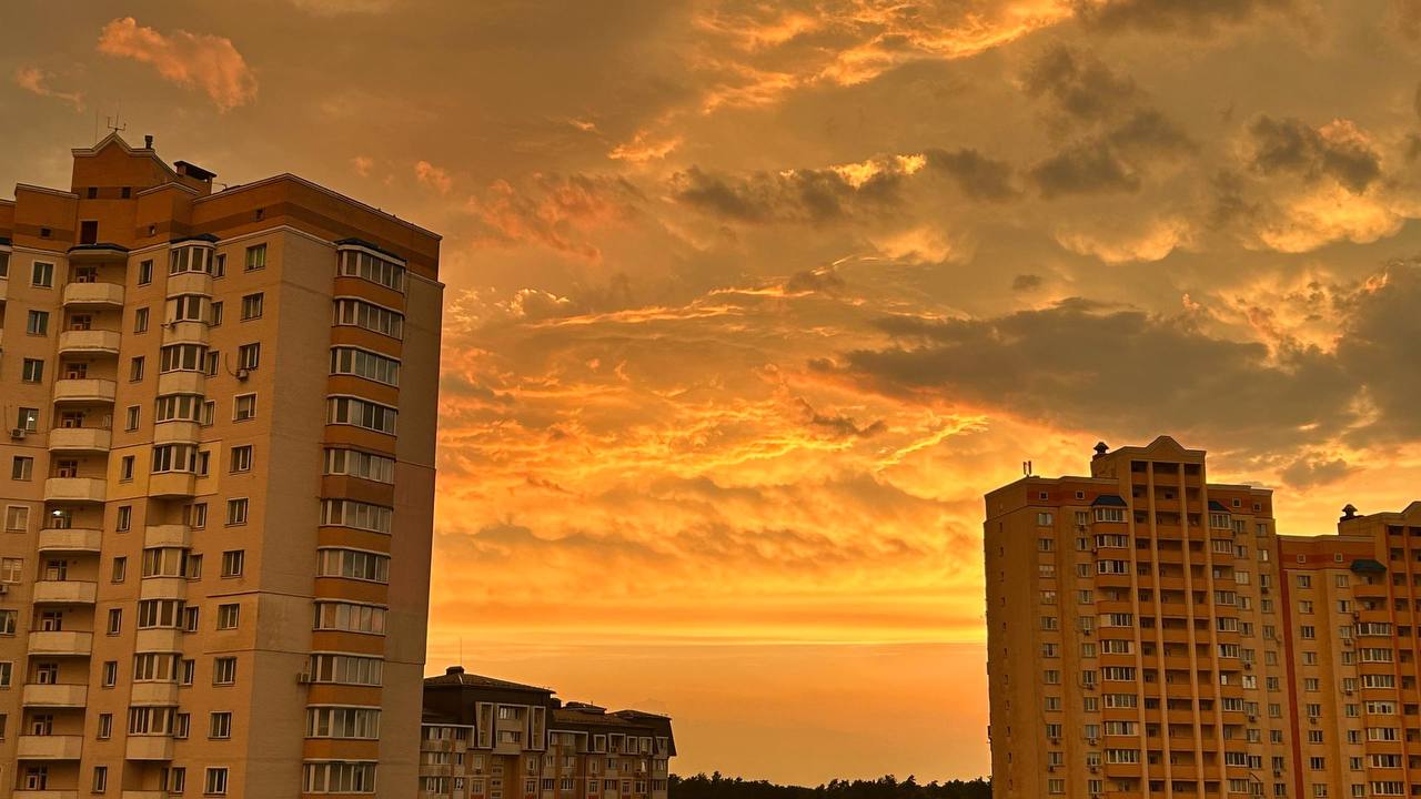 Повалені дерева, побиті авто та знеструмлення: наслідки негоди у Києві та області - фото 9